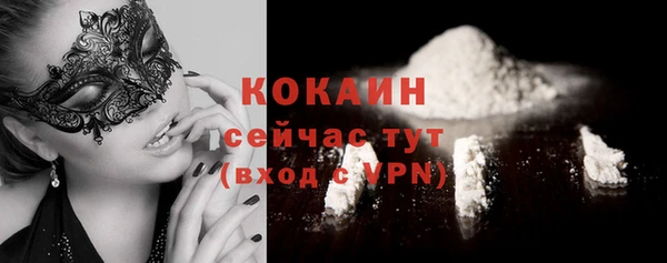 прущие грибы Кукмор