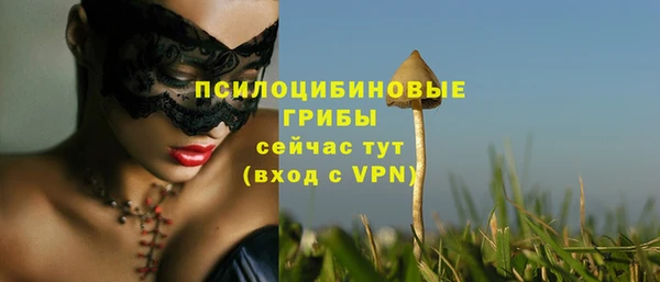 прущая мука Лагань