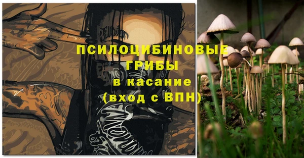 прущие грибы Кукмор