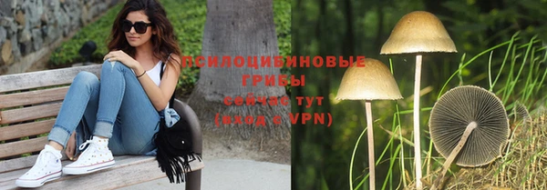 мдпв Кулебаки