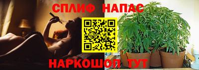 наркотики Абакан