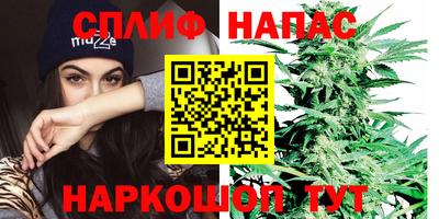 Альфа ПВП Пенза