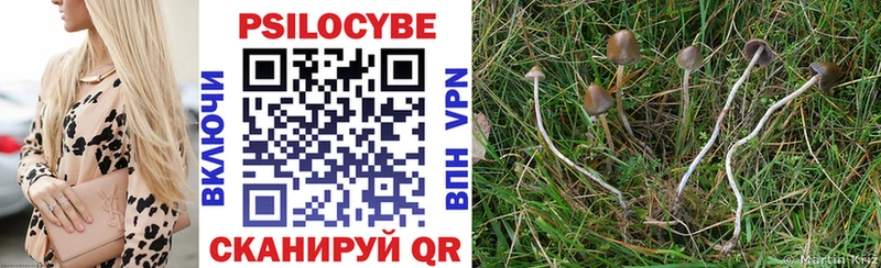 Псилоцибиновые грибы мухоморы  Медногорск 
