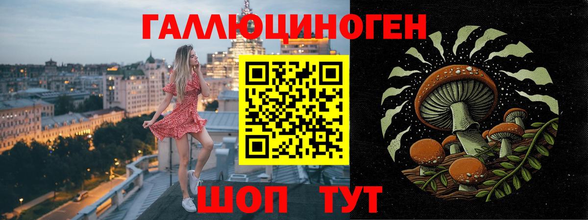 Псилоцибиновые грибы прущие грибы  Вход с VPN  Медногорск 