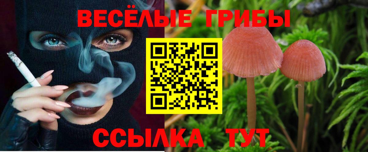 Галлюциногенные грибы прущие грибы  Вход с VPN  Медногорск 