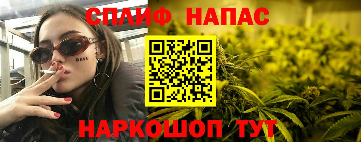Конопля сатива Медногорск
